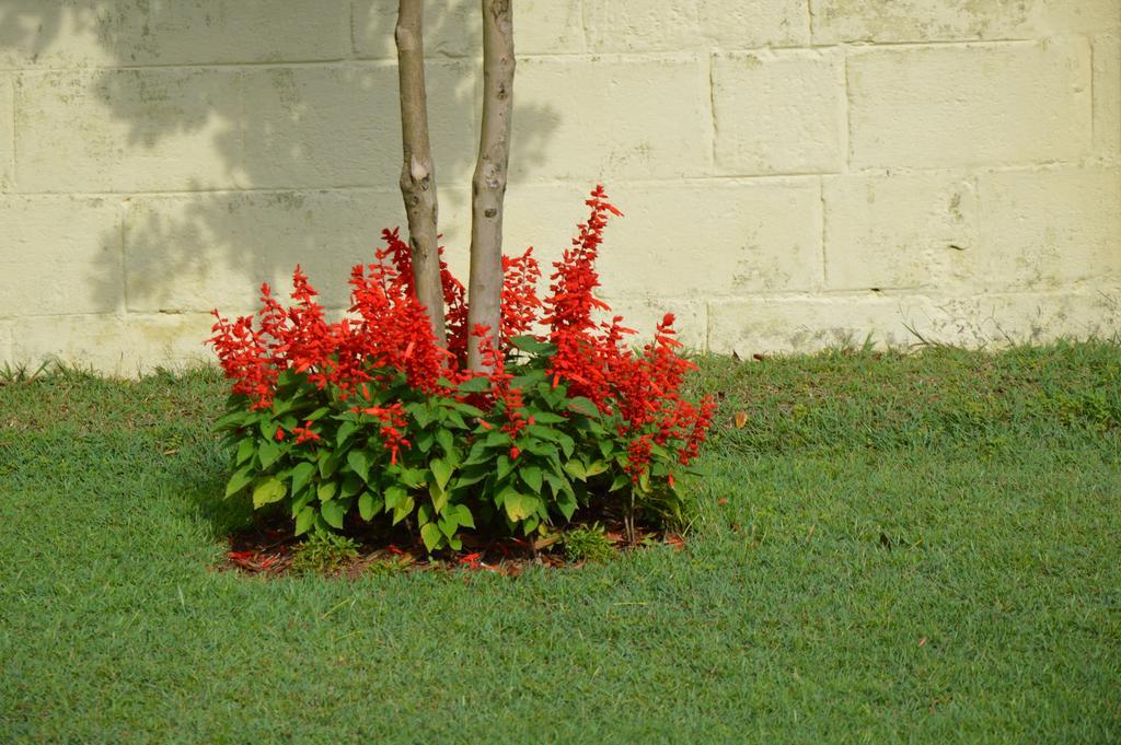 Serenity Manor Coonoor Ngoại thất bức ảnh